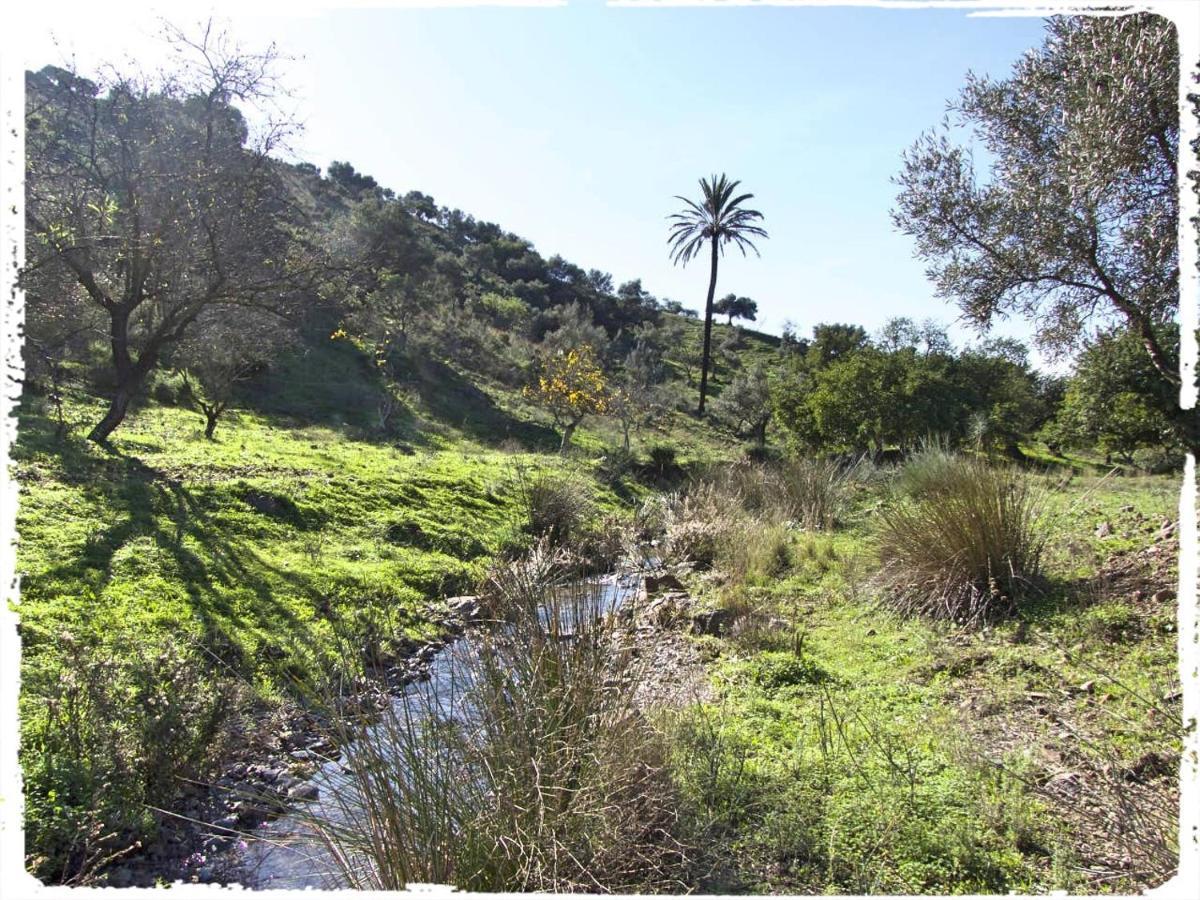 Cortijo Casas Viejas Villa มาลากา ภายนอก รูปภาพ
