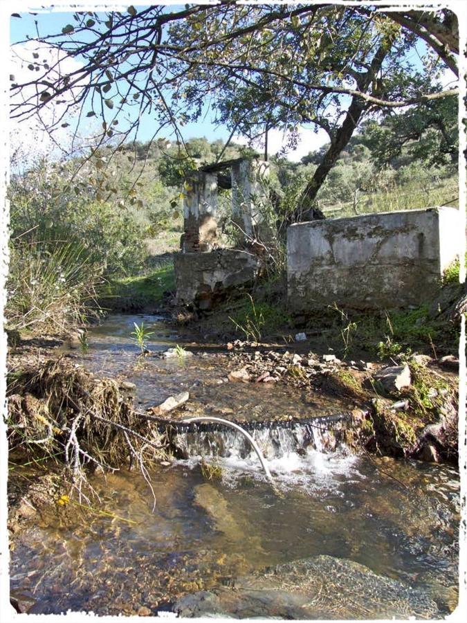 Cortijo Casas Viejas Villa มาลากา ภายนอก รูปภาพ